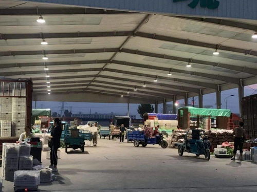 中貿農產品綜合批發市場 從基地到市場,蔬菜區一站式采購每日參考價